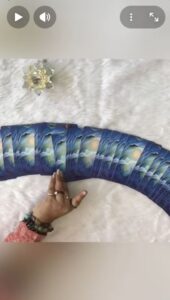 Payal Goradia - Rays Healer. Education